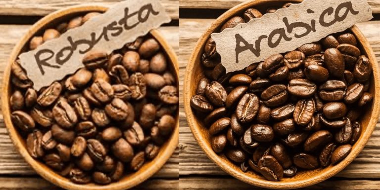 Arabica Coffee vs Robusta: Taste, Caffeine, Cost, and Brewing Differences Explained