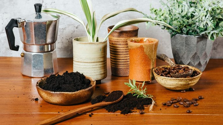 Creative Ways to Use Used Coffee Grounds Sustainably: Eco-Friendly Tips and Hacks