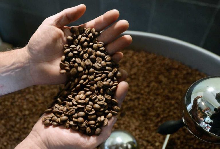 Where Can I Buy Fresh Coffee Beans Near Me? Find the Best Local Spots and Online Options