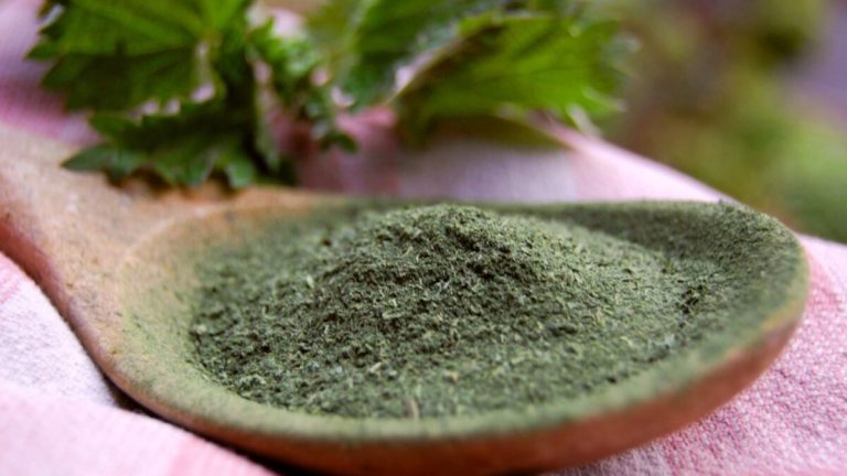 Is Matcha High in Histamine? What You Need to Know for Sensitive Diets