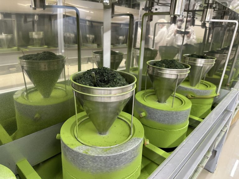 Is There a Matcha Shortage – Causes, Market Impact, And Buying Tips